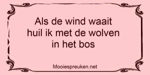 Als de wind waait huil ik met de wolven in het bos