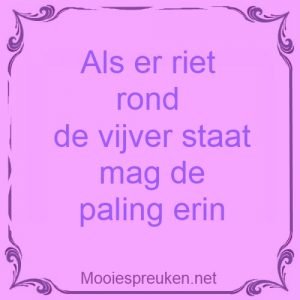 Als er riet rond de vijver staat mag de paling erin