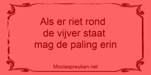 Als er riet rond de vijver staat, mag de paling erin