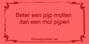 Beter een pijp mollen dan een mol pijpen