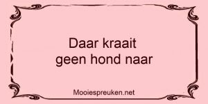 Daar kraait geen hond naar