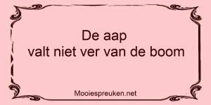 De aap valt niet ver van de boom