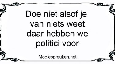 Doe niet alsof je van niets weet daar hebben we politici voor