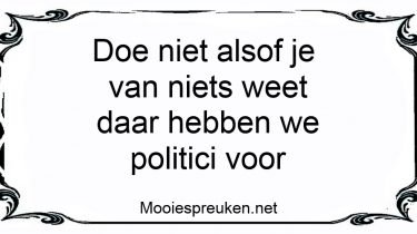 Doe niet alsof je van niets weet daar hebben we politici voor