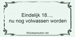 Eindelijk 18, nu nog volwassen worden