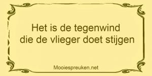 Het is de tegenwind die de vlieger doet stijgen