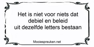 Het is niet voor niets dat debiel en beleid uit dezelfde letters bestaan