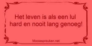 Het leven is als een lul, hard en nooit lang genoeg