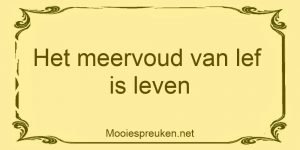 Het meervoud van lef is leven