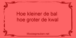 Hoe kleiner de bal hoe groter de kwal