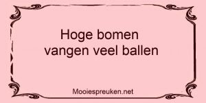 Hoge bomen vangen veel ballen