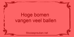 Hoge bomen vangen veel ballen