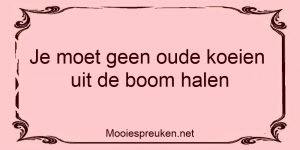 e moet geen oude koeien uit de boom halen