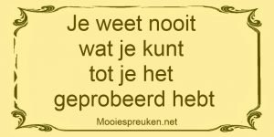 Je weet nooit wat je kunt tot je het geprobeerd hebt