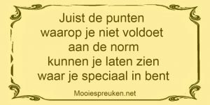 Juist de punten waarop je niet voldoet aan de norm kunnen je laten zien waar je speciaal in bent