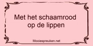 Met het schaamrood op de lippen