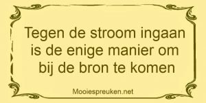 Tegen de stroom ingaan is de enige manier om bij de bron te komen