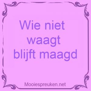 Wie niet waagt blijft maagd