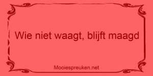 Wie niet waagt, blijft maagd