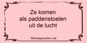 Ze komen als paddenstoelen uit de lucht