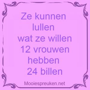 Ze kunnen lullen wat ze willen 12 vrouwen hebben 24 billen